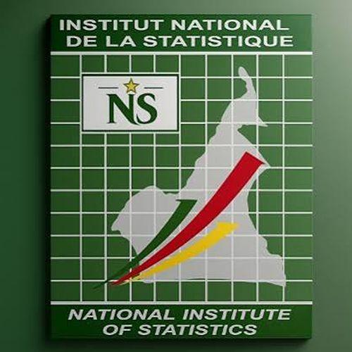 INS/NIS (National Institute of Statistics)